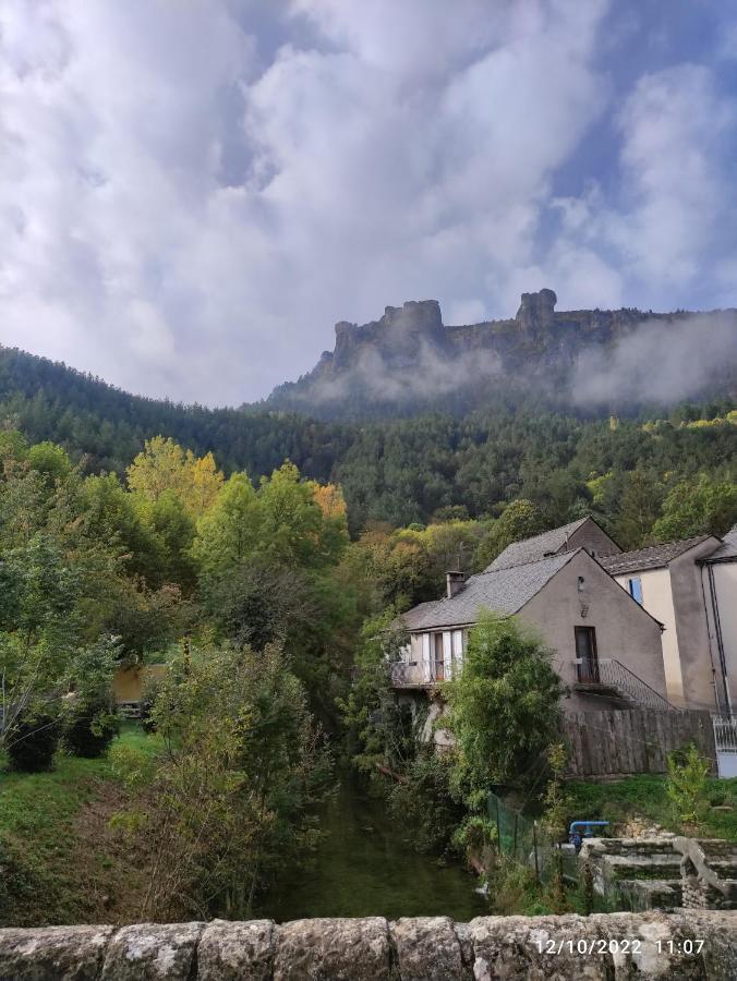 Grand Appartement De Charme Avec Parking Prive Florac Bagian luar foto